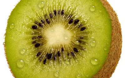 Un kiwi, le symbole d'alsacréations